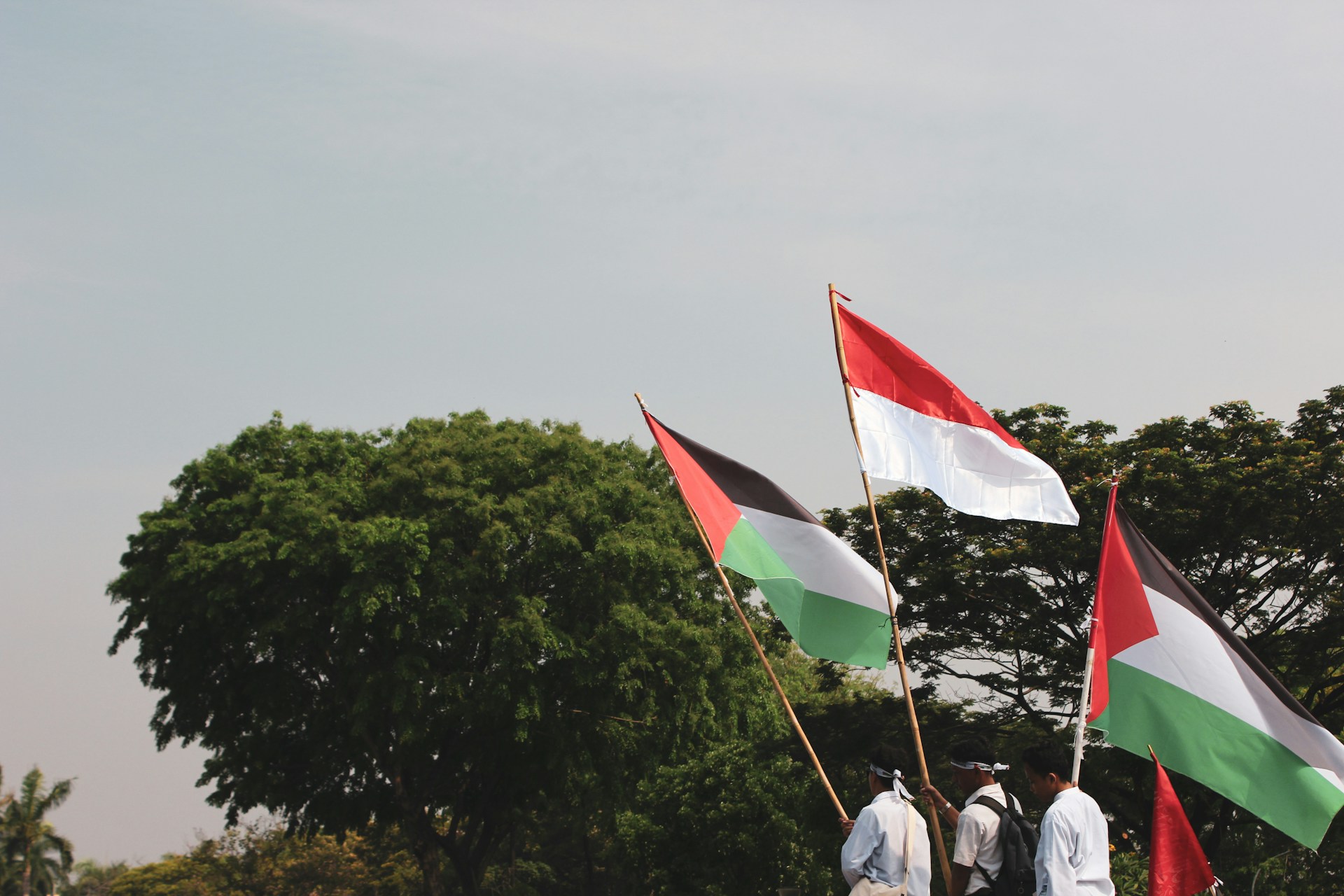 Il Cairo non morirà per Gaza